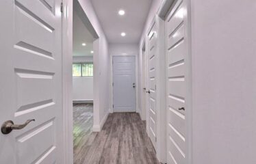 2335-2339 Rue Wellington, Montréal (Le Sud-Ouest)