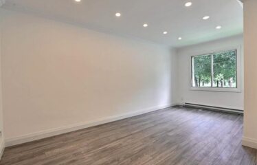 2335-2339 Rue Wellington, Montréal (Le Sud-Ouest)