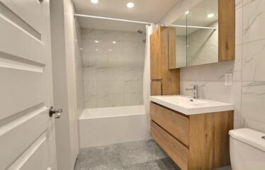 2335-2339 Rue Wellington, Montréal (Le Sud-Ouest)