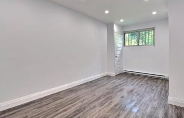 2335-2339 Rue Wellington, Montréal (Le Sud-Ouest)