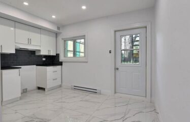 2335-2339 Rue Wellington, Montréal (Le Sud-Ouest)