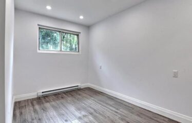 2335-2339 Rue Wellington, Montréal (Le Sud-Ouest)